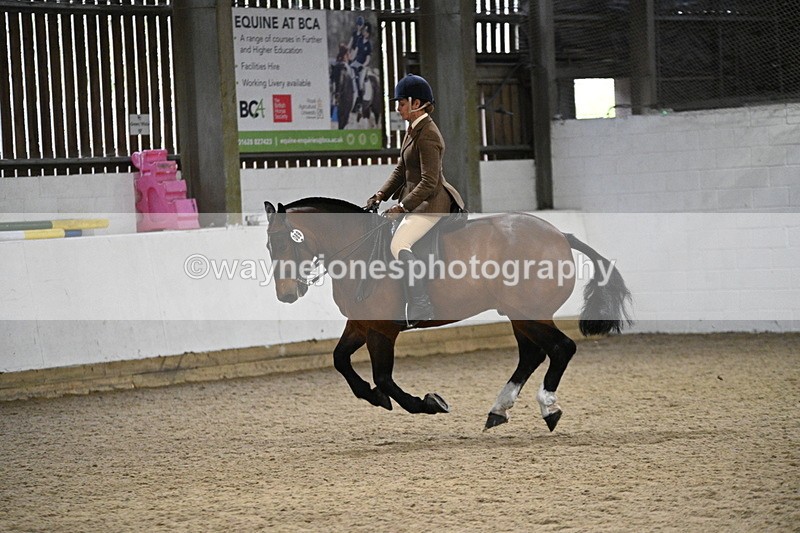 WJ7_4030 - Class 17 Ridden Cob