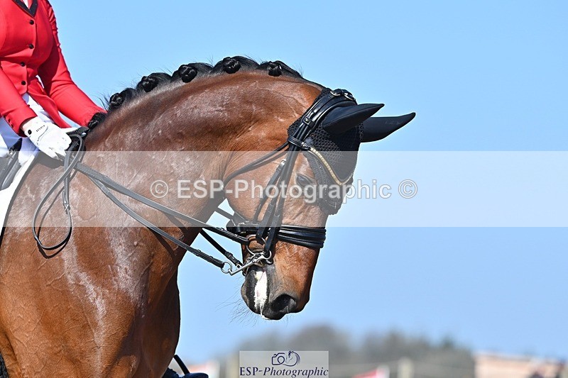 250405-102032-09925 - 183-Sofia.Games-Honey.DOr