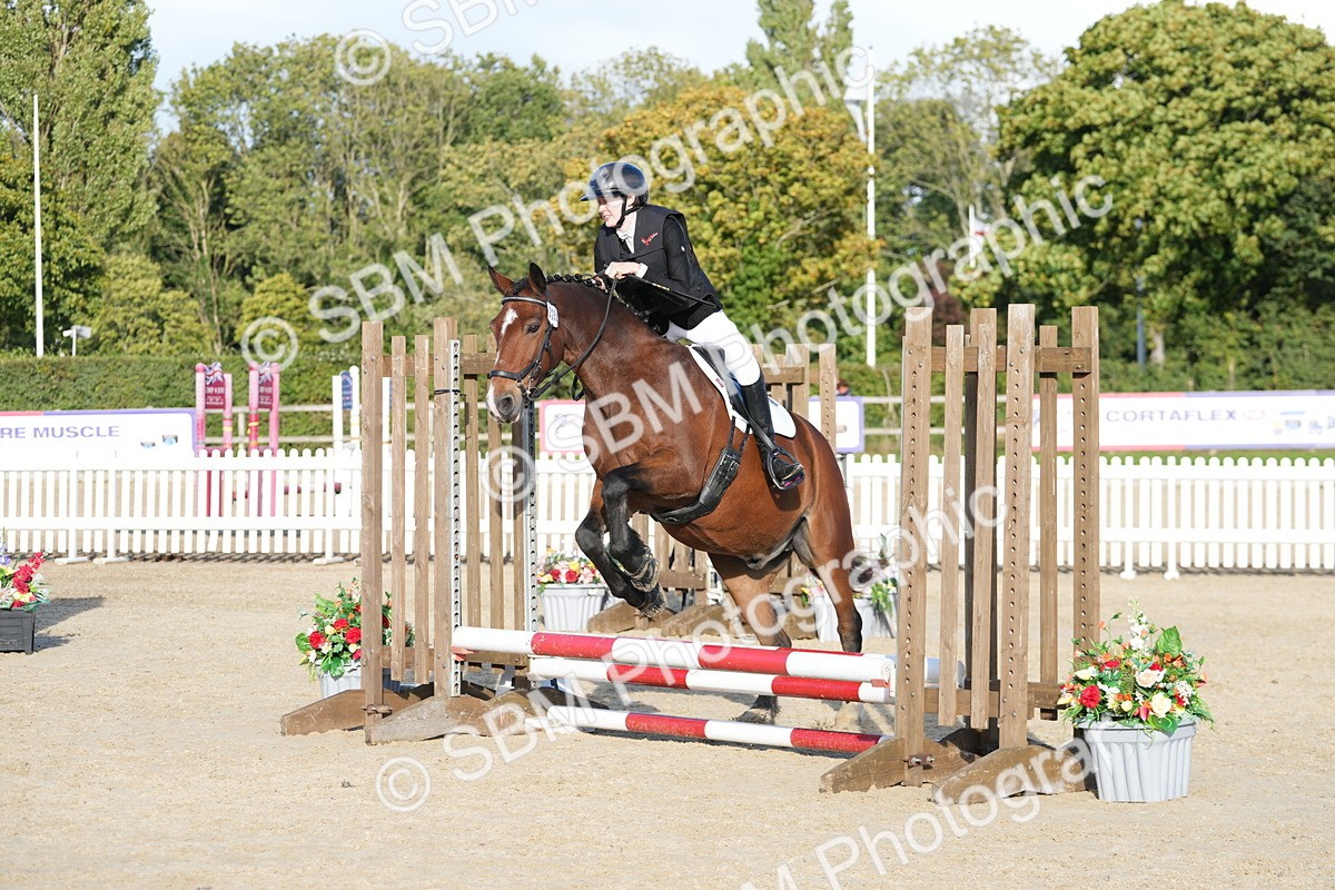 SBM_28993 - J43 - Horse & Hound Open 50cm