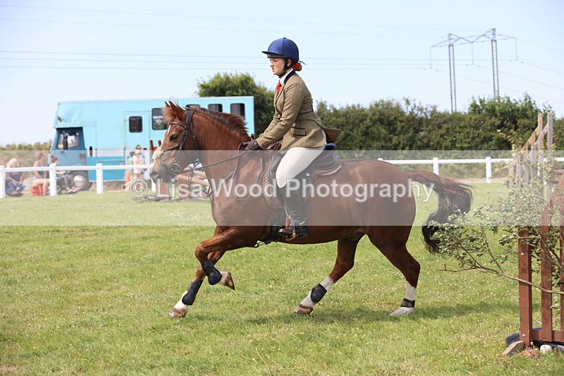 JPP_3683 - Class 23: Working Hunter 80cm