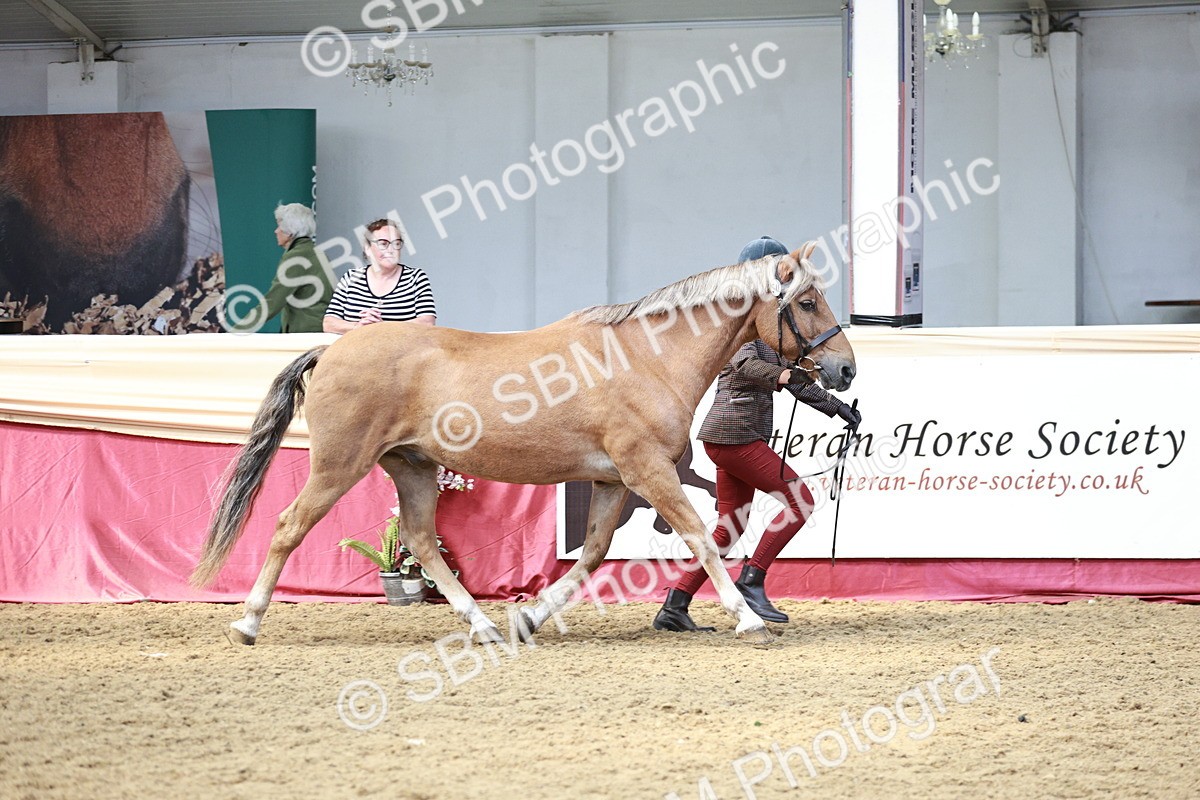 SBM_04726 - Class 7R - Regional IH Diamond