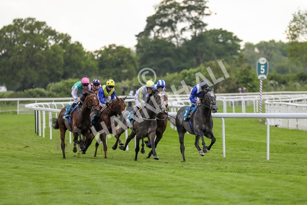 190523-Race 5-Mostabshir-7833 - Race 5 4.10pm Darley Novice Stakes