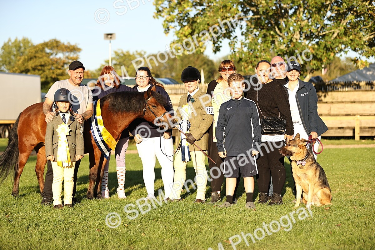 SBM_30159 - Novice & Newcomers Supreme Championship