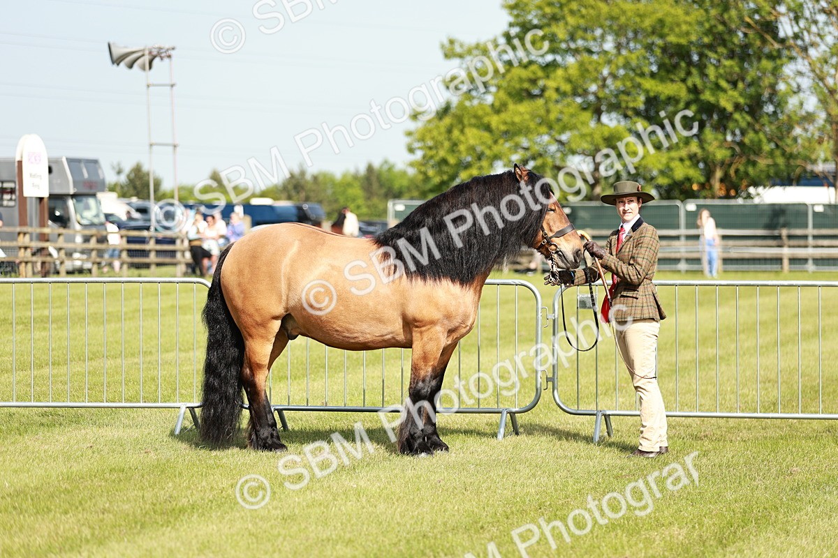 SBM_01598