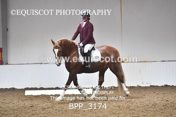 BPP_3174 - INTRO TEST 3