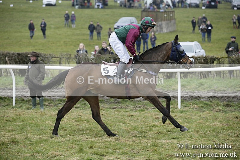 PtP 020418 -28 - Old Berks Point-to-Point Races Easter Monday 02/04/18