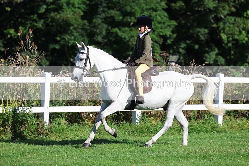 3E7A7599 - Class 1: Novice Working Hunter Pony