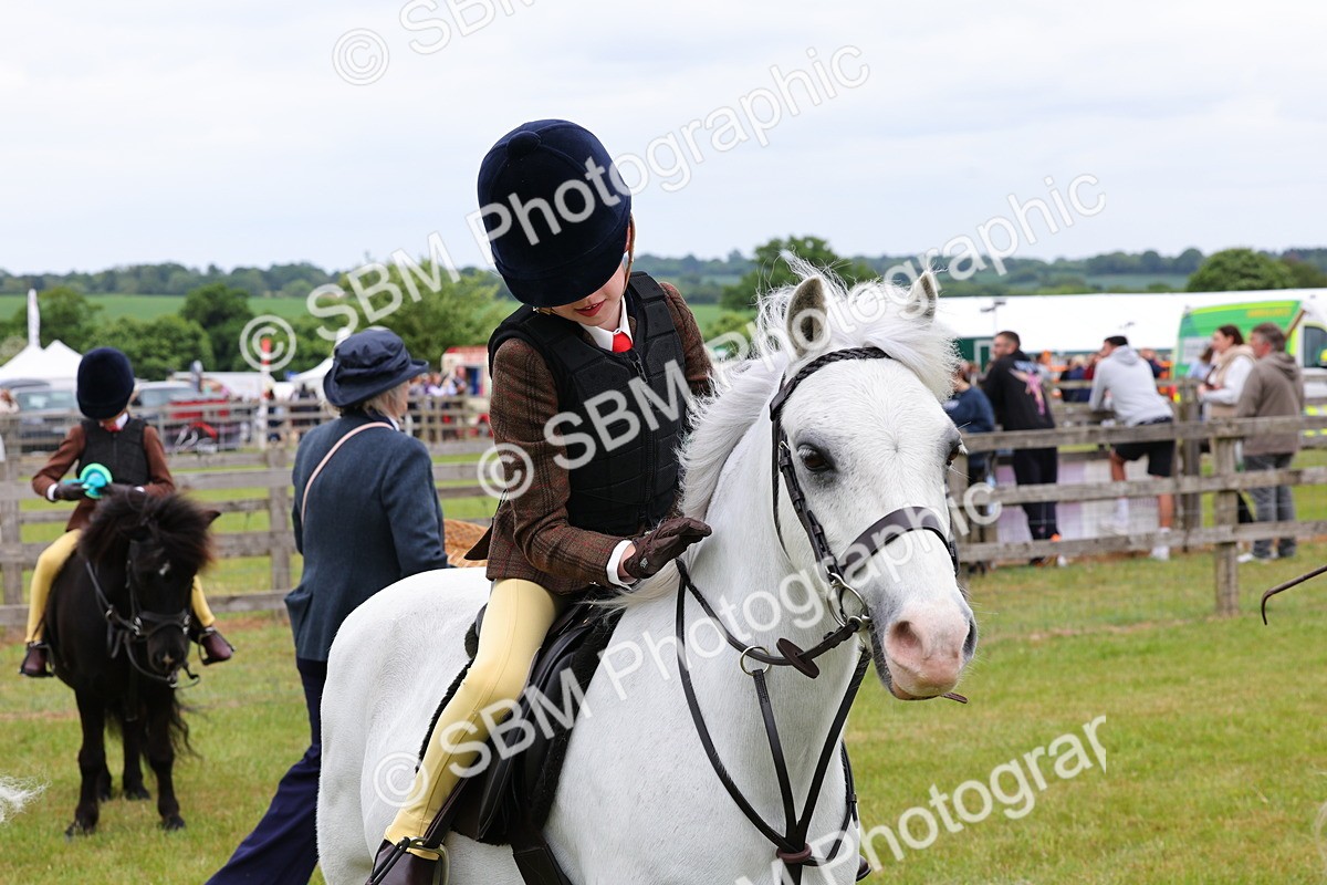 SBM_08870 - Class 42-43 - LIHS BSPS Heritage Working Sports Pony