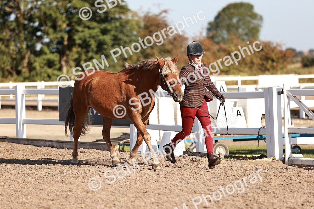 SBM_11366 - Class 402 - IH  Veteran pony