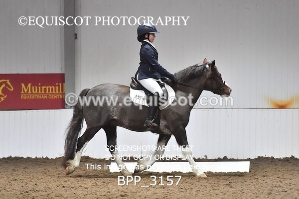 BPP_3157 - INTRO TEST 3