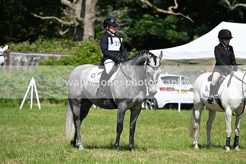 WJ7_1743 - Class 9 Pony Club Pony