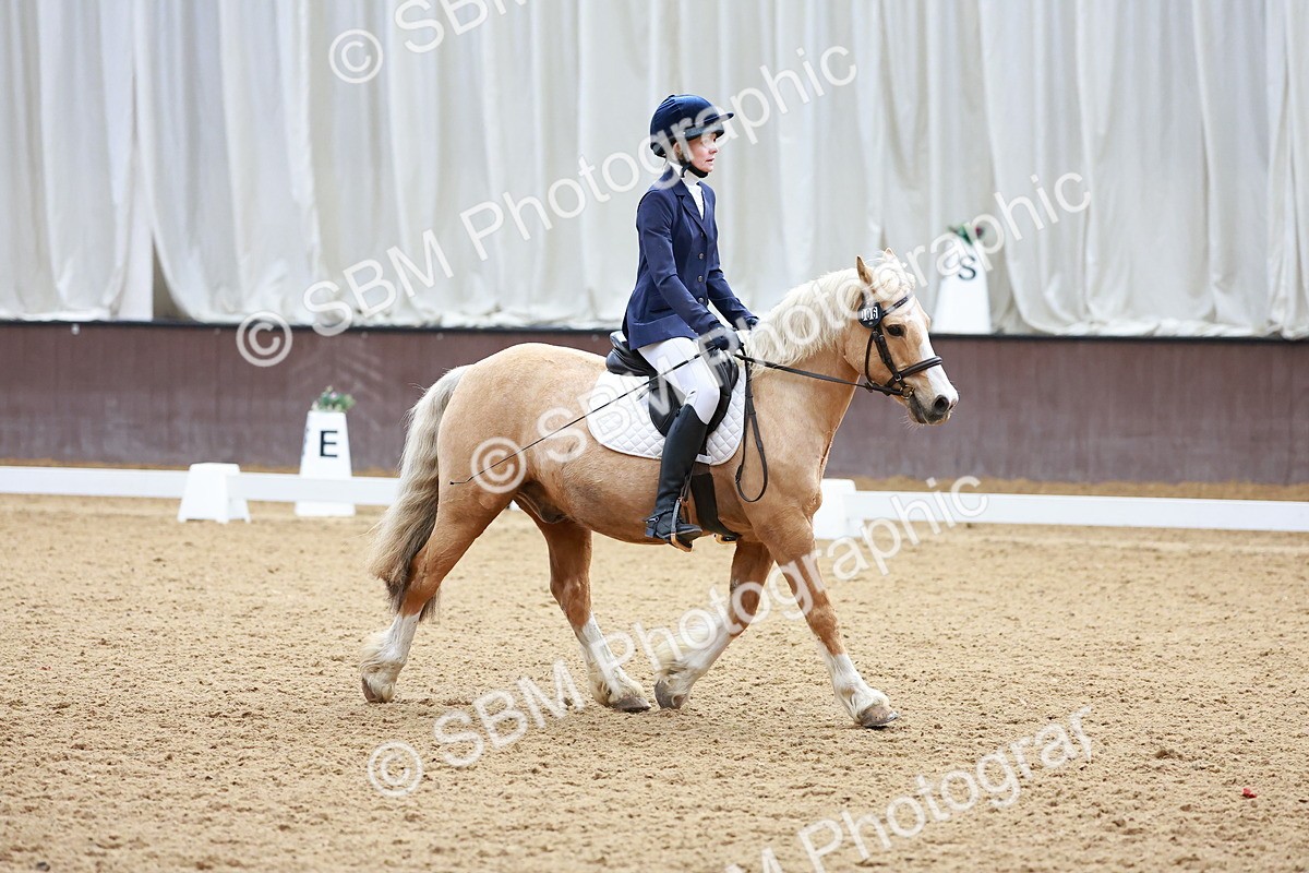 SBM_000584 - Class 4 - CT Prelim 3-70cm