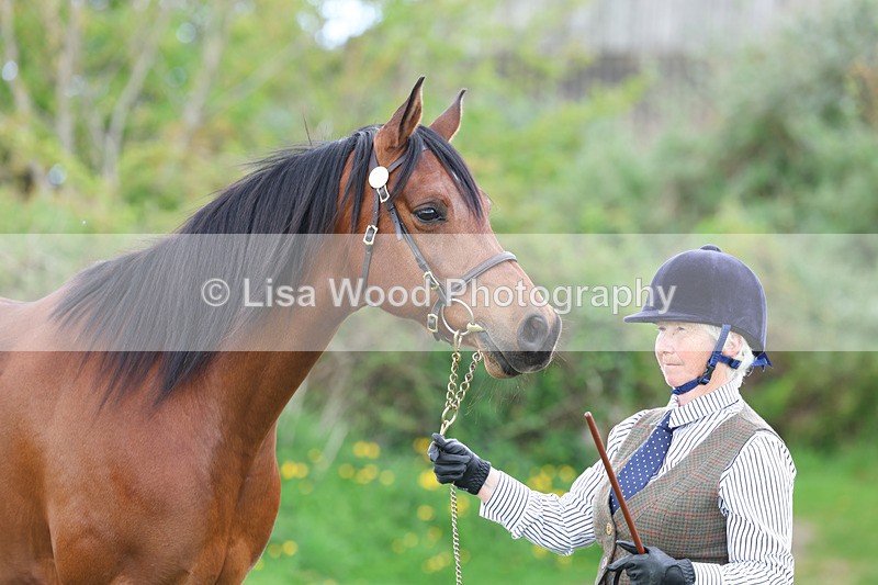 3E7A0871 - In Hand Championship