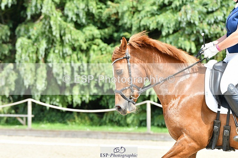 230623-142005-00958 - Cls 5 Elementary 43