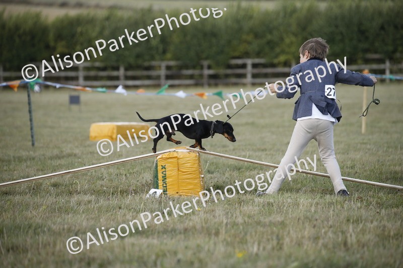 20250831-3853 - Dog Show