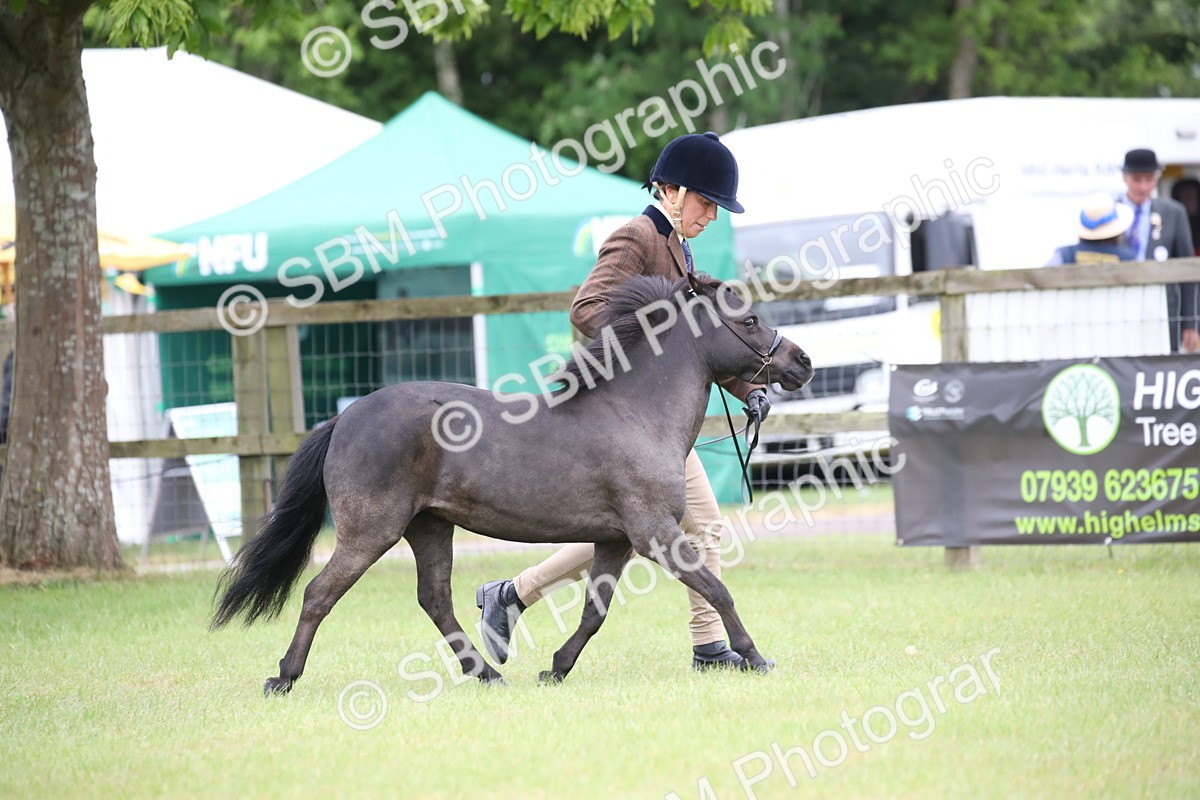 SBM_03877 - Class 23-25 - British Miniature Horse of the Year