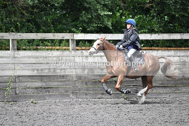 WJ6_0373 - Class 13 Novice 60cm