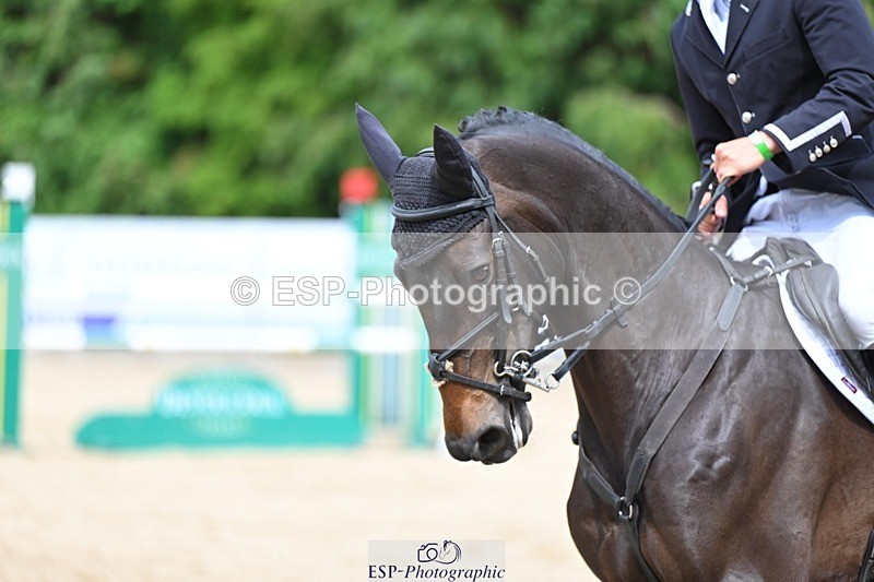 240525-144458-15849 - 507-DASSETT_ROCK_STAR-Tom_D_Crisp