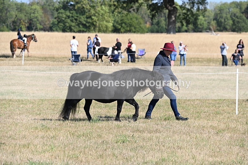 WJ6_4183 - Class 16 Condition & Turn Out