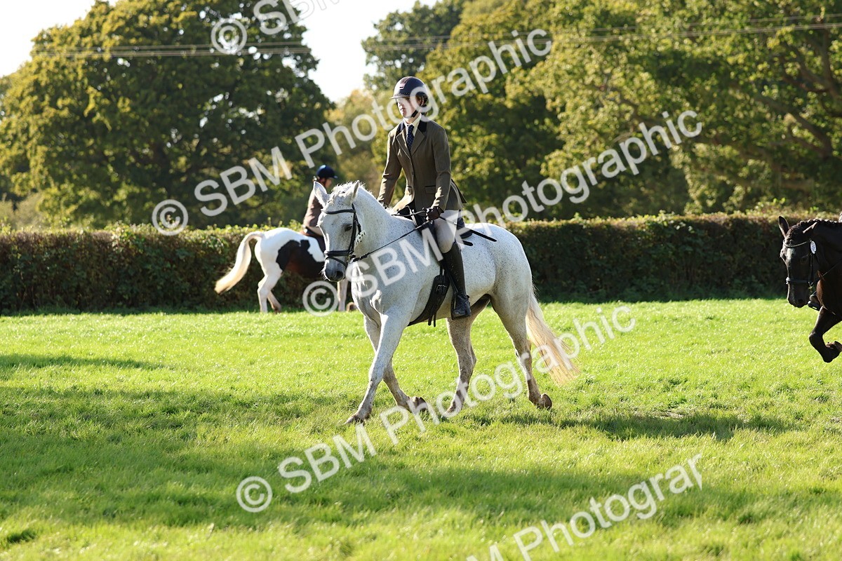 SBM_52428 - S13 - Pony Club Pony