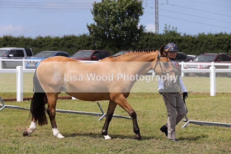 1X9A4888 - Class 35: Veteran In Hand