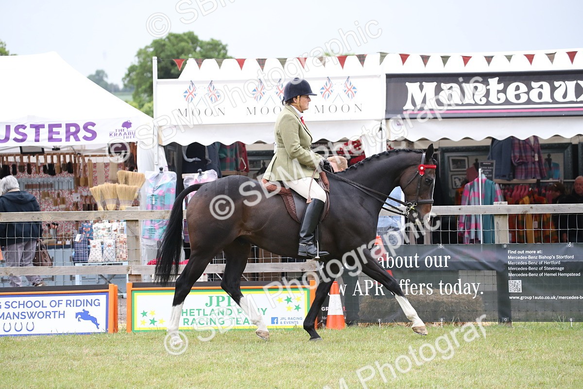 SBM_11386 - Class 94 - LIHS BSHA Racehorse to Showhorse
