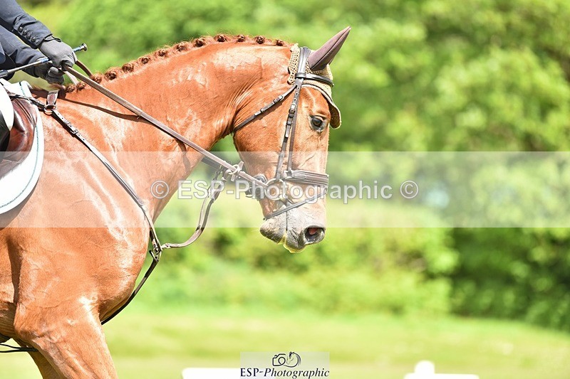 240523B-114714-02076 - 5 Year Old