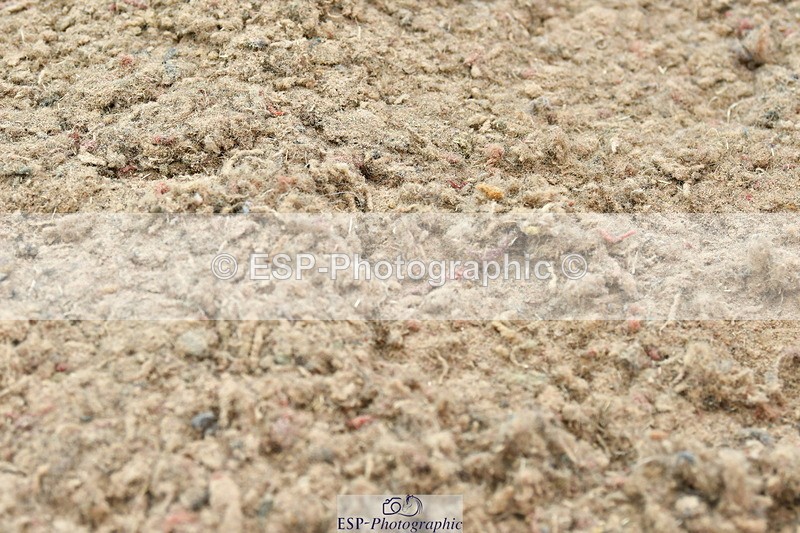 230611A-130923-05783 - Cls 26 Discovery 2nd R Jump Off's and Presentations