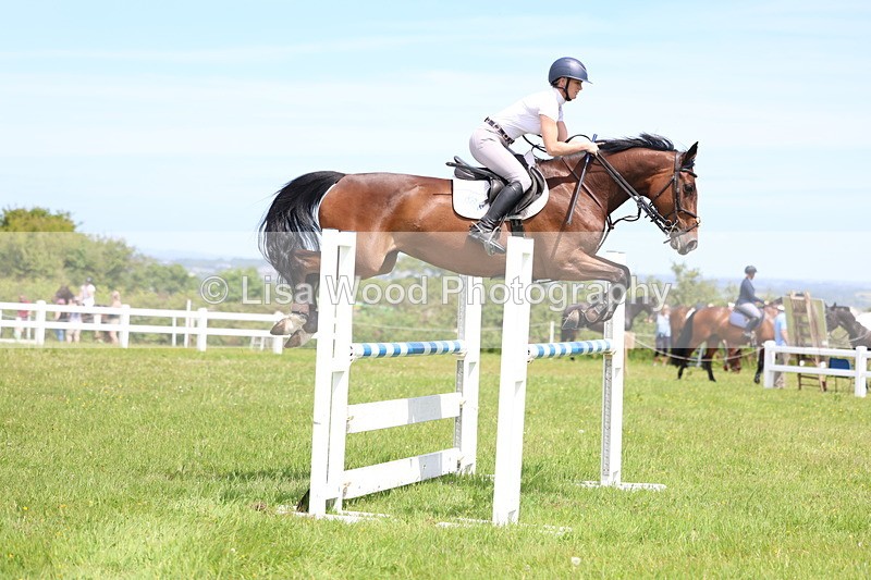 3E7A1345 - Class 12: Senior Foxhunter/1.20 open