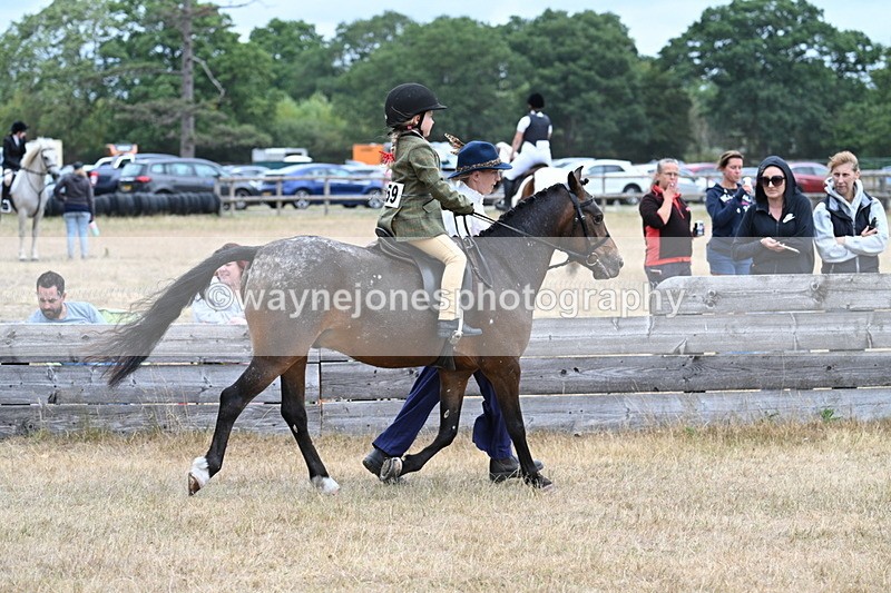 WJ7_0434 - Class 6 Ridden Mountain and Moorland