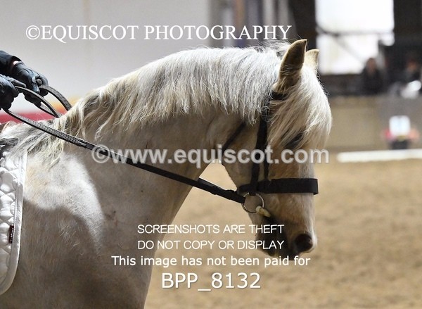 BPP_8132 - INTRO 1