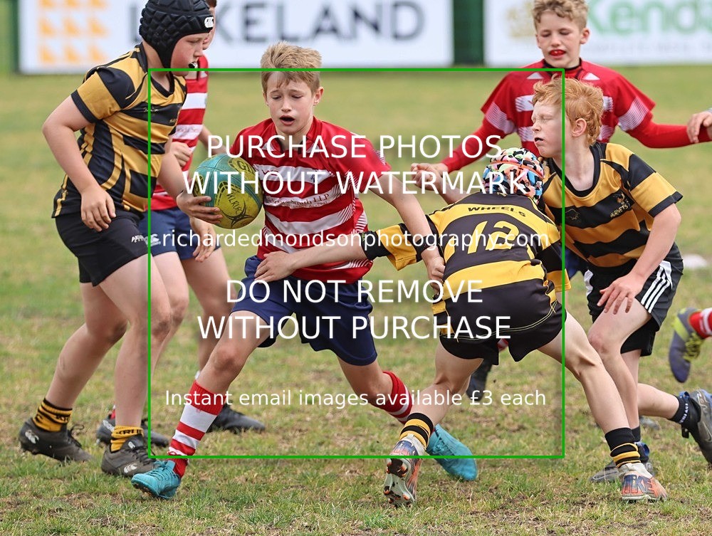 IMG_5130 - Kendal Rugby U12s vs Peebles U12 (25/5/25)