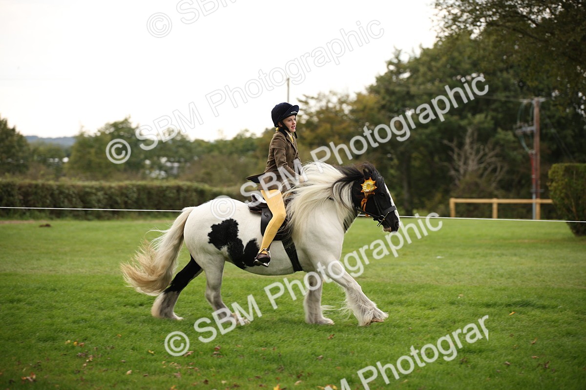 SBM_73605 - S68 - Traditional Cob Ridden