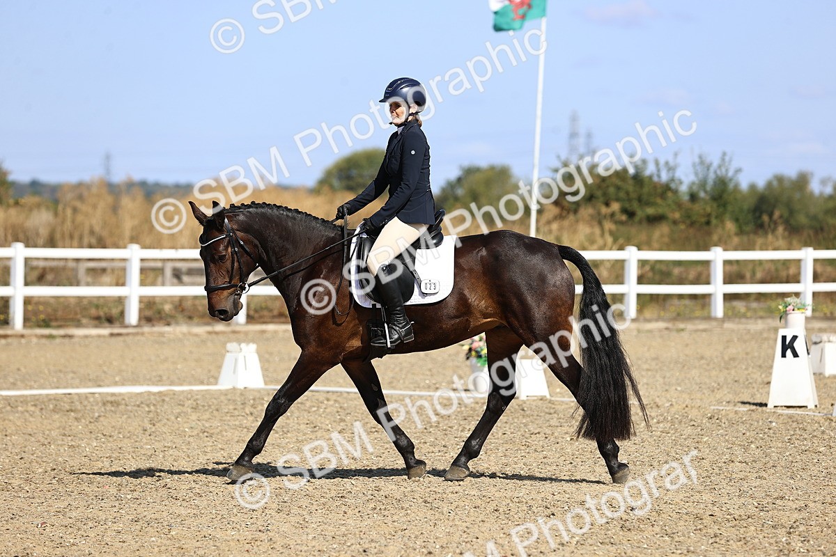 SBM_013160 - Class 2 - P5 Silver  10.03.10.59
