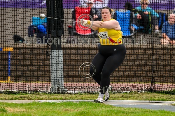 Sen25SAT-924619 - Field Female Set Two