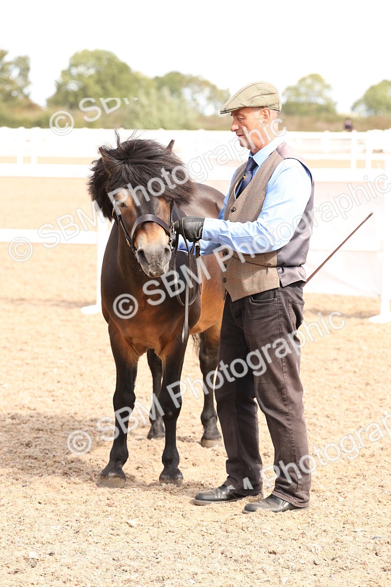 SBM_13976 - Class 205 - IH Show Pony - Show Hunter Pony