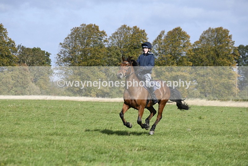 _DSC5778 - Time 10:49 to 11:23