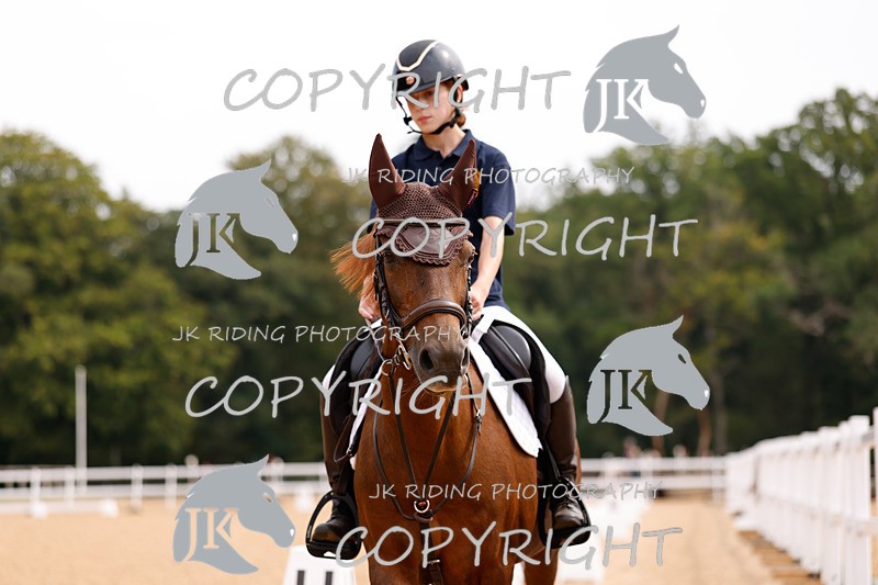 _R6A2482 - Dressage Morning