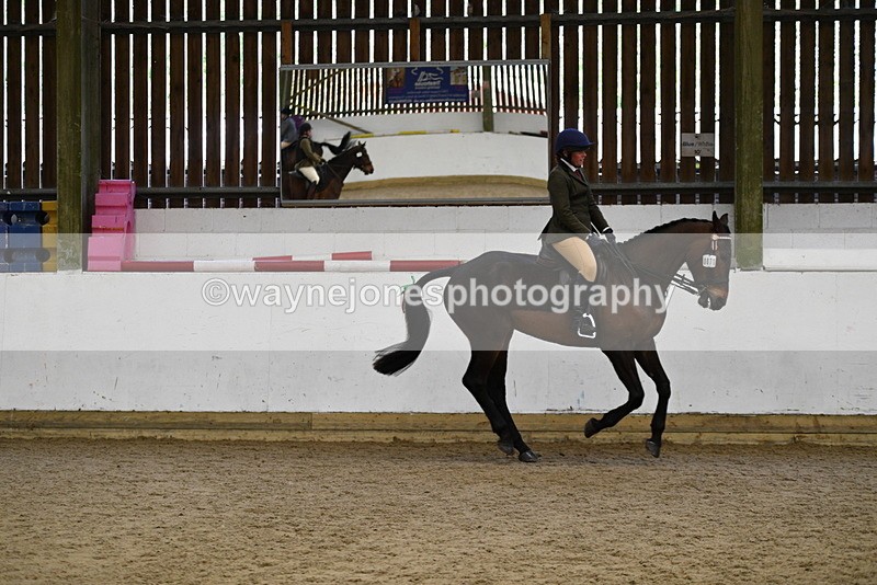 WJ5_7723 - Class 13 Ridden Part Breed