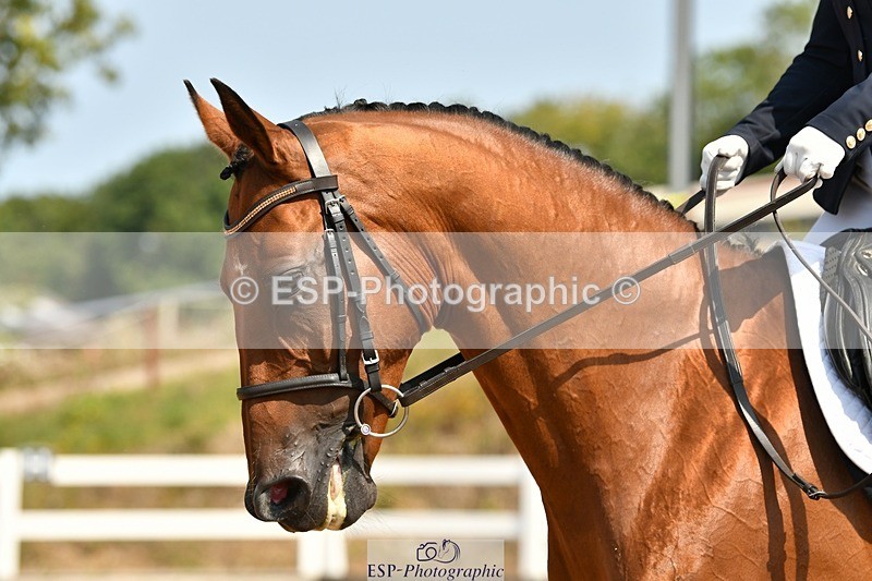 250817-121248-08822 - 103-LOOBY.CHUBBJ.Force