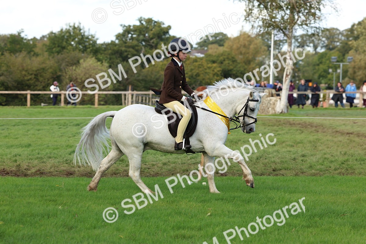 SBM_46347 - Working Hunter Pony Supreme Championship