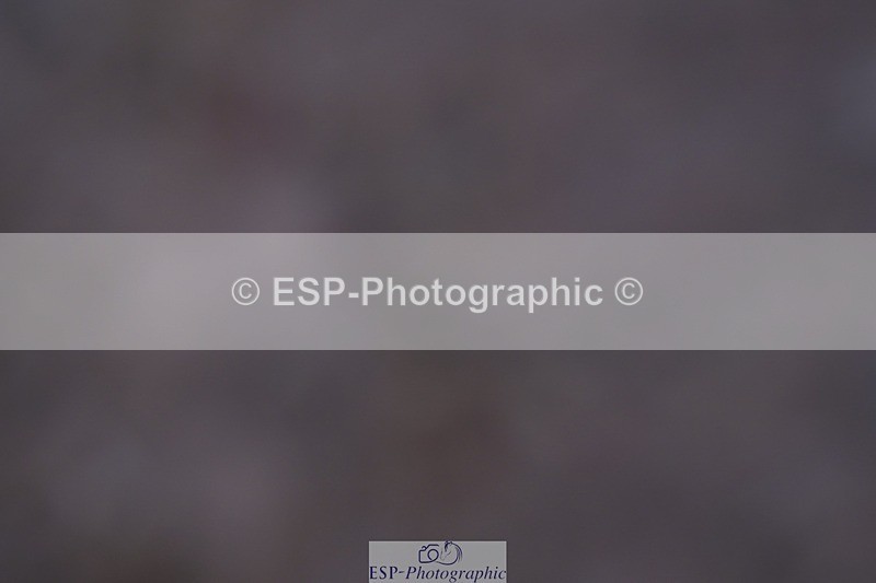 250510-120848-11226 - Cls 15 Prestige Big Star Quali  1st Jump Off