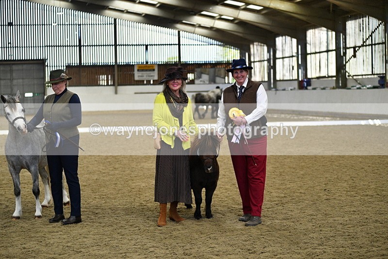 WJ5_5551 - Class 8 In hand cob