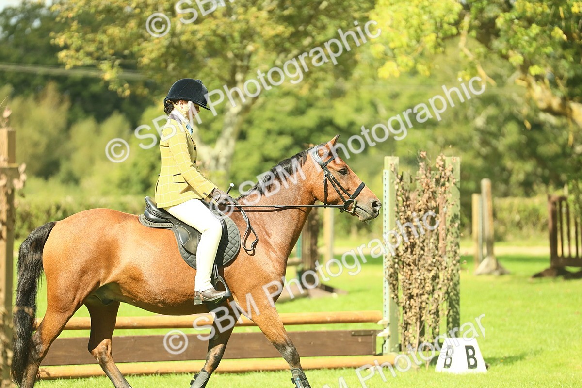 SBM_42118 - S29 - Novice & Newcomers Working Hunter Pony