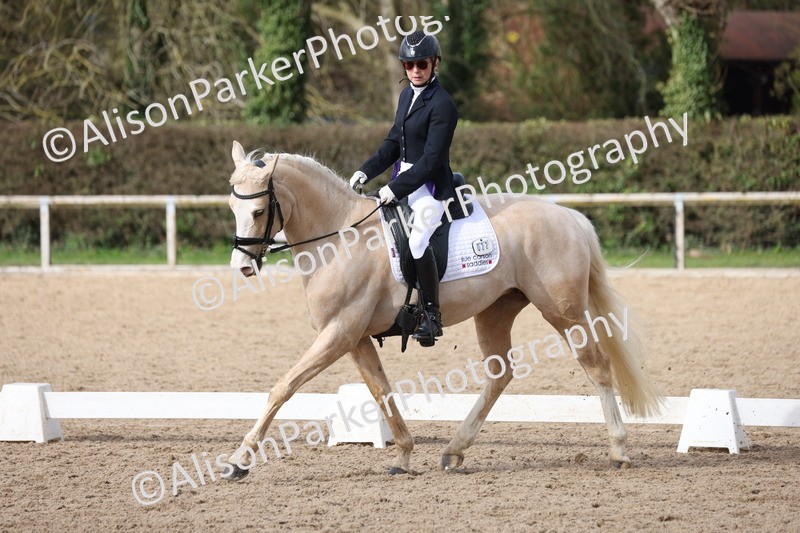 20260301-0636 - Class 4 - Novice 5