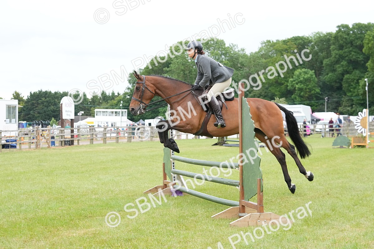 SBM_12621 - Class 97-98 - LIHS BSHA Rising Star Working Show Horse Hunter