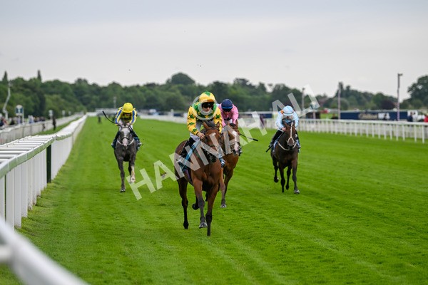 120724-Race 3-Royalty Bay-5968 - Race 3 3.15pm William Hill Keep Your Raceday Positive Irish EBF Fillies' Novice Stakes