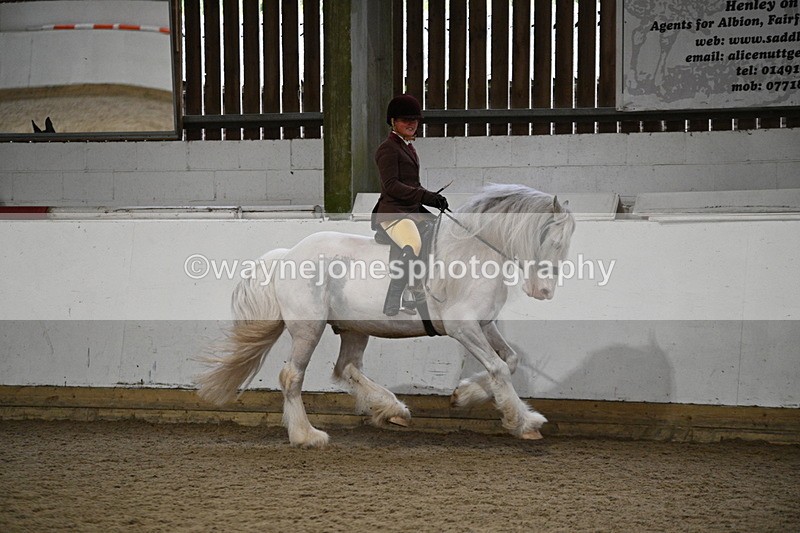 WJ7_4416 - Class 17 Ridden Cob