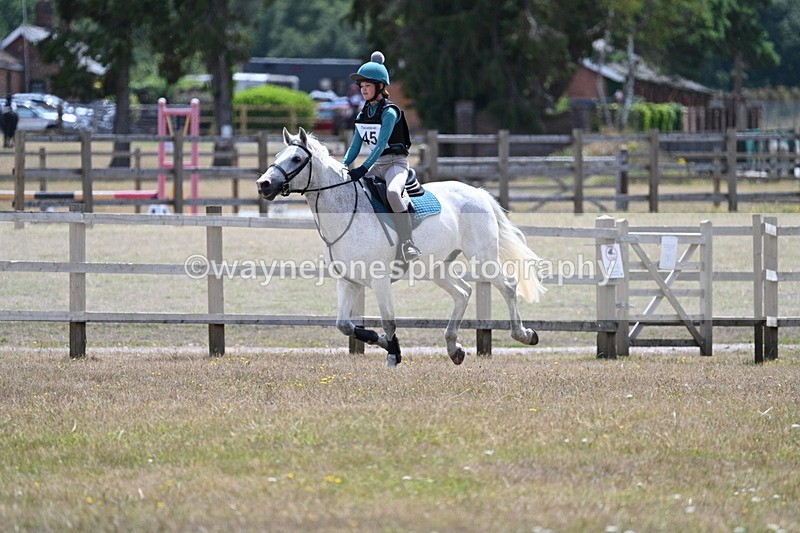 WJ7_0817 - 60cm Time 12:26 to 12:46