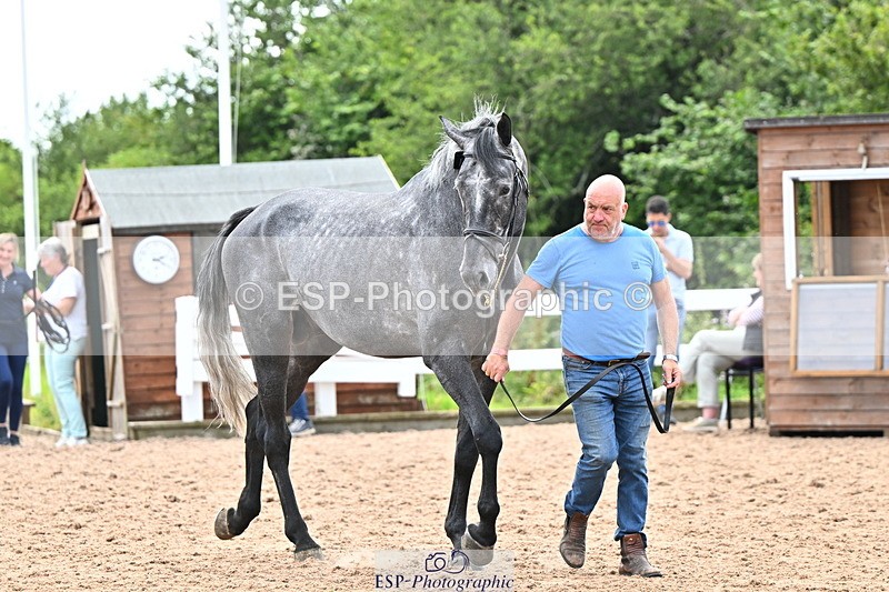 240718A-105327-02029 - Trot Up 2pm to 3pm - This folder is not in time order
